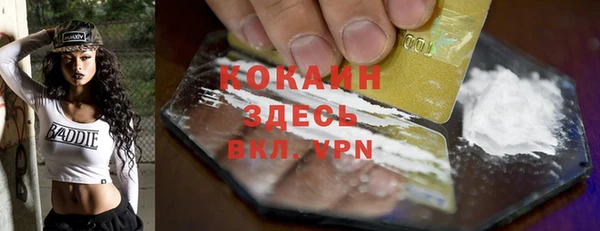 шишки Аркадак