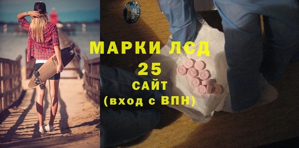 шишки Аркадак