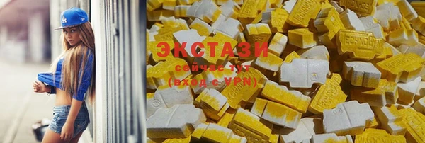 шишки Аркадак