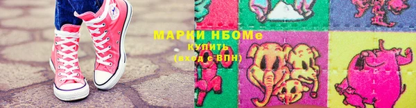шишки Аркадак