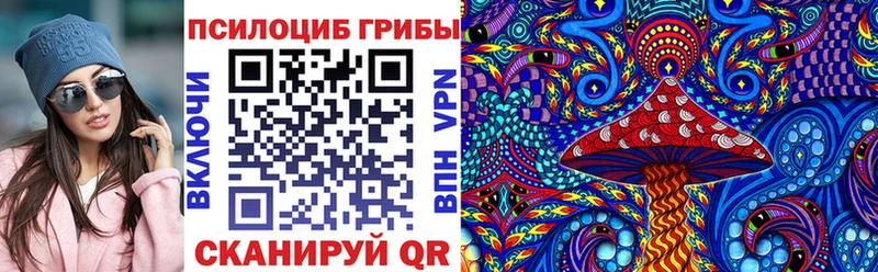 как найти   Среднеуральск  Галлюциногенные грибы Psilocybe 